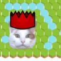 
                        逃脱的猫                    