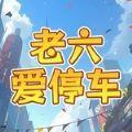 
                        老六爱停车                    