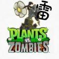 植物大战僵尸雷 