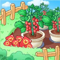 来种小番茄天降红包版 v1.0 安卓版