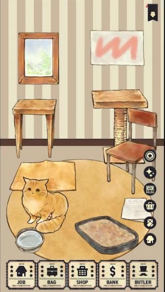 猫咪天堂