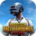 pubgmobile国际服正版 