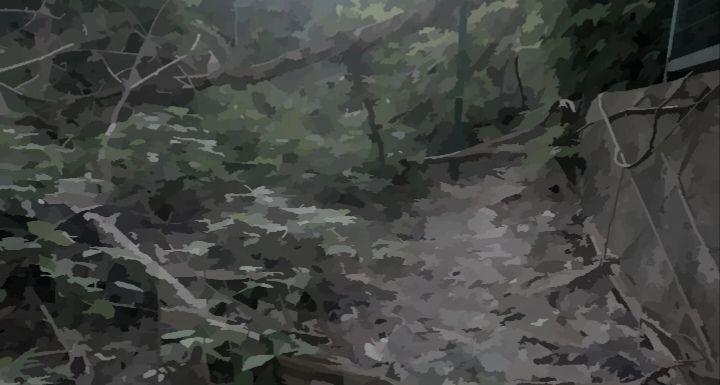 戏假成真游戏安卓版 v1.5 中文免费版截图2