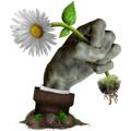 pvz乐Pad写实版 