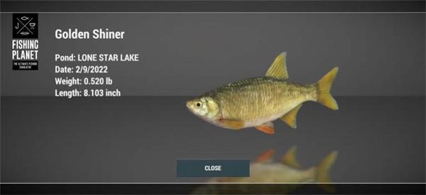 FishingPlanet最新版 截图2