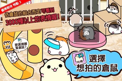 仓鼠收集 截图1