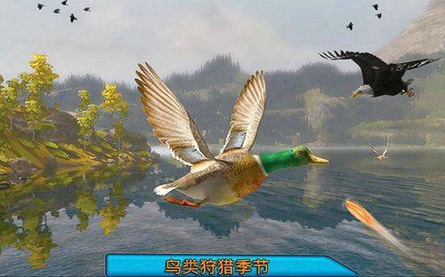 沙漠鸟类狙击猎人 截图0