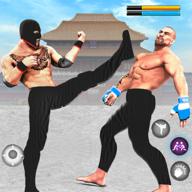 3D功夫格斗游戏(Kung Fu Karate Game) v1.0 去广告版