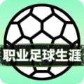职业足球生涯 