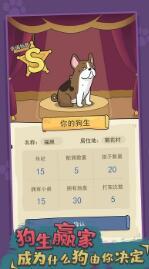 狗生模拟器最新版 截图2