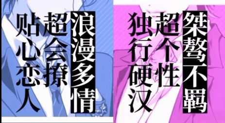 百密一疏少女心截图2