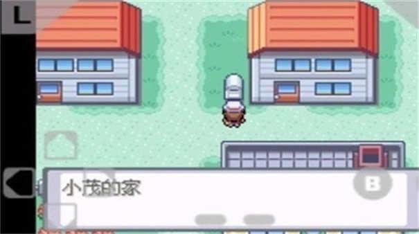 口袋妖怪火红可存档完美版截图1