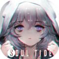 灵魂潮汐百度版