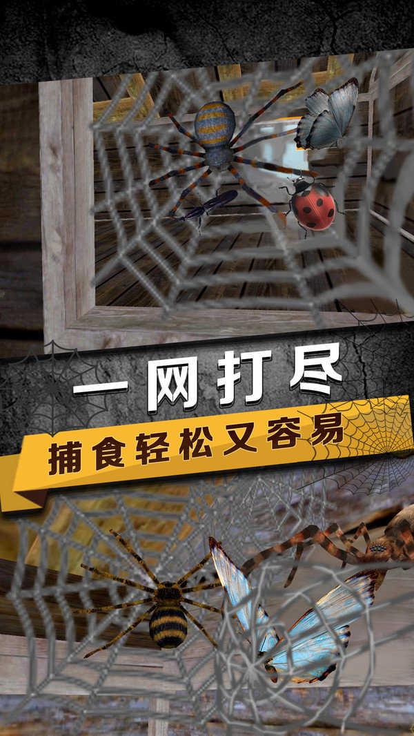 蜘蛛模拟生存截图0
