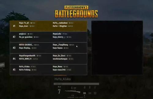 pubg越南服-pubg越南服