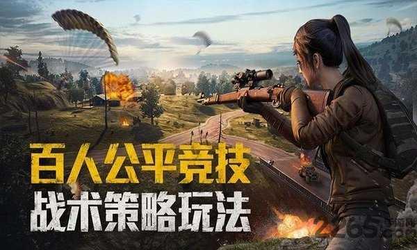 和平精英国际服官网版截图2