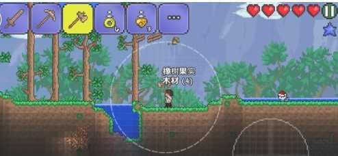 泰拉瑞亚新手攻略截图6