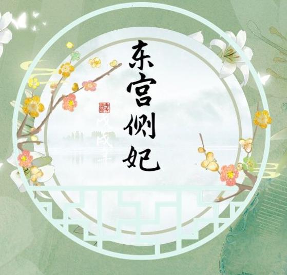 东宫侧妃破解