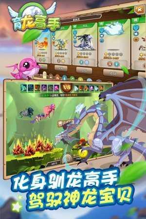 育龙高手百度版截图3