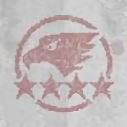 第六装甲部队（TeamSix）