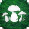 蘑菇猎人模拟器(Real Mushroom Hunting)