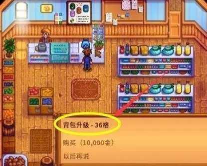 星露谷物语怎么扩充背包？4
