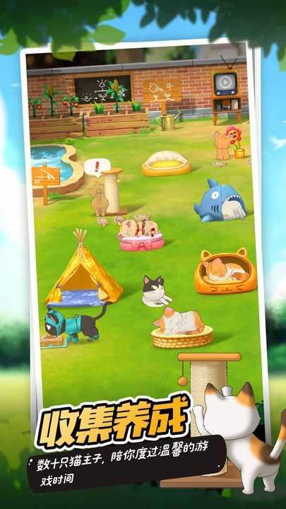 猫语咖啡旧版截图2