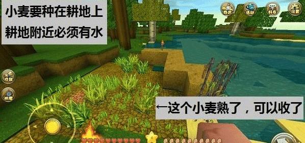 迷你世界破解999999迷你币最新版