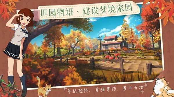 天尚网
