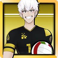 巅峰排球九游（The Spike Volleyball battle）