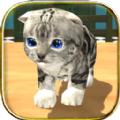 猫咪模拟器