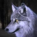 狼模拟器修改版UltimateWolf