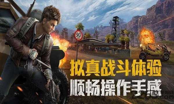 和平精英国际服官网版截图3