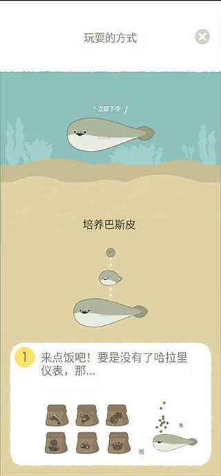 虚无魚BasPi