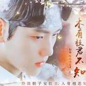 木有枝君不知