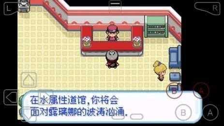 口袋妖怪剑盾10.2