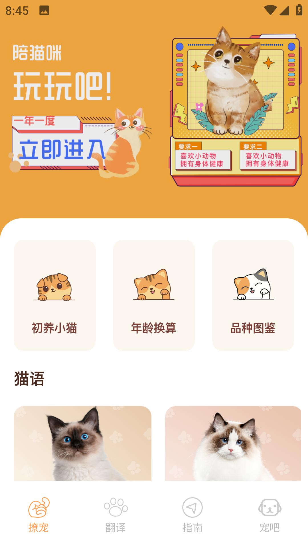 peppycat猫语翻译器截图0