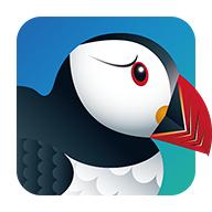 Puffin