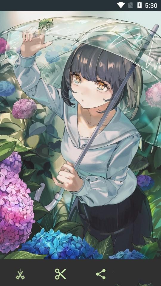 wallhaven壁纸