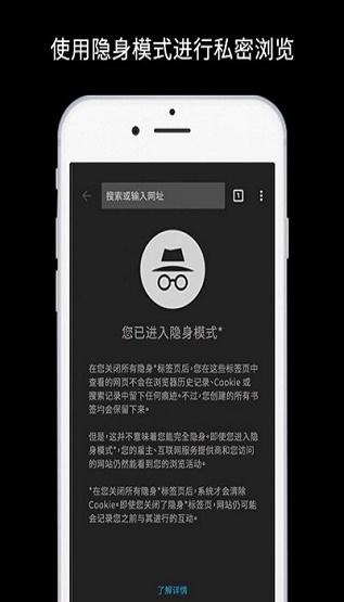 chrome浏览器最新版截图0