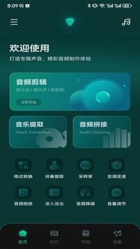 轻听音乐下载安装截图0