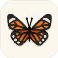 蝴蝶懒散游戏安卓中文版（Butterfly Idle）