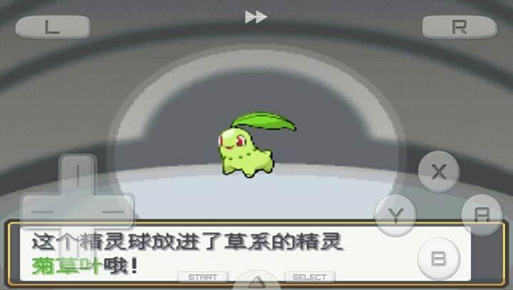  口袋妖怪心金386版截图0