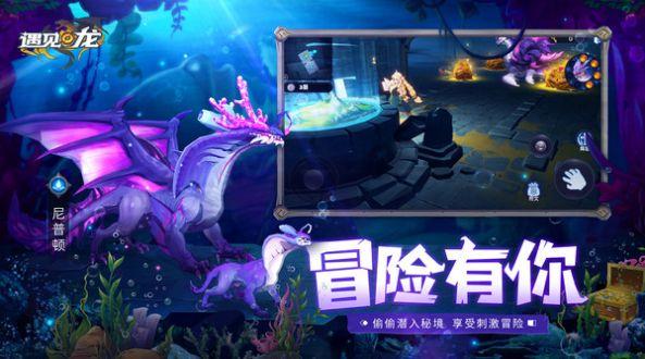  遇见龙之地城冒险官方版截图0