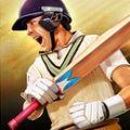 Cricket World Champions游戏安卓最新版