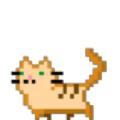 猫景游戏安卓版