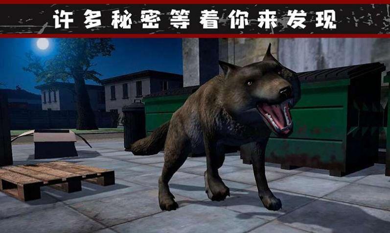  我的流浪生涯手机版截图0