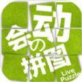拼来拼趣安卓最新版