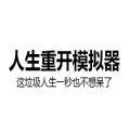  document人生总结游戏在线玩