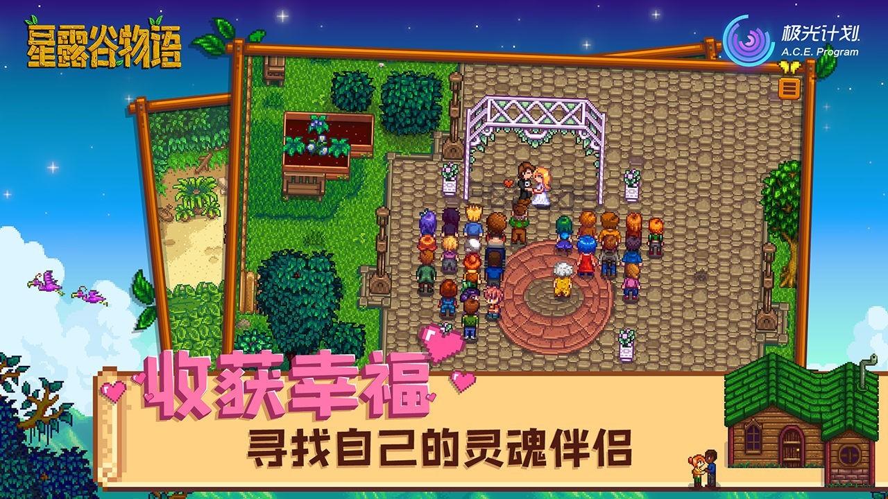 星露谷物语中国风衣服mod汉化版下载截图2